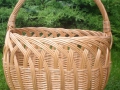 photo003