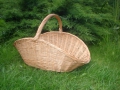 photo005