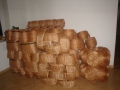 photo016
