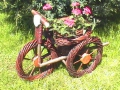 photo024