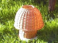photo028
