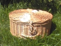 photo037