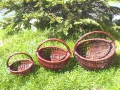 photo039