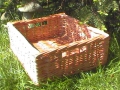 photo040