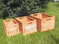 photo041