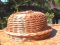 photo047