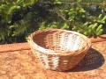 photo050