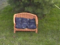 photo063