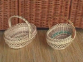 photo071