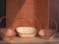 photo076
